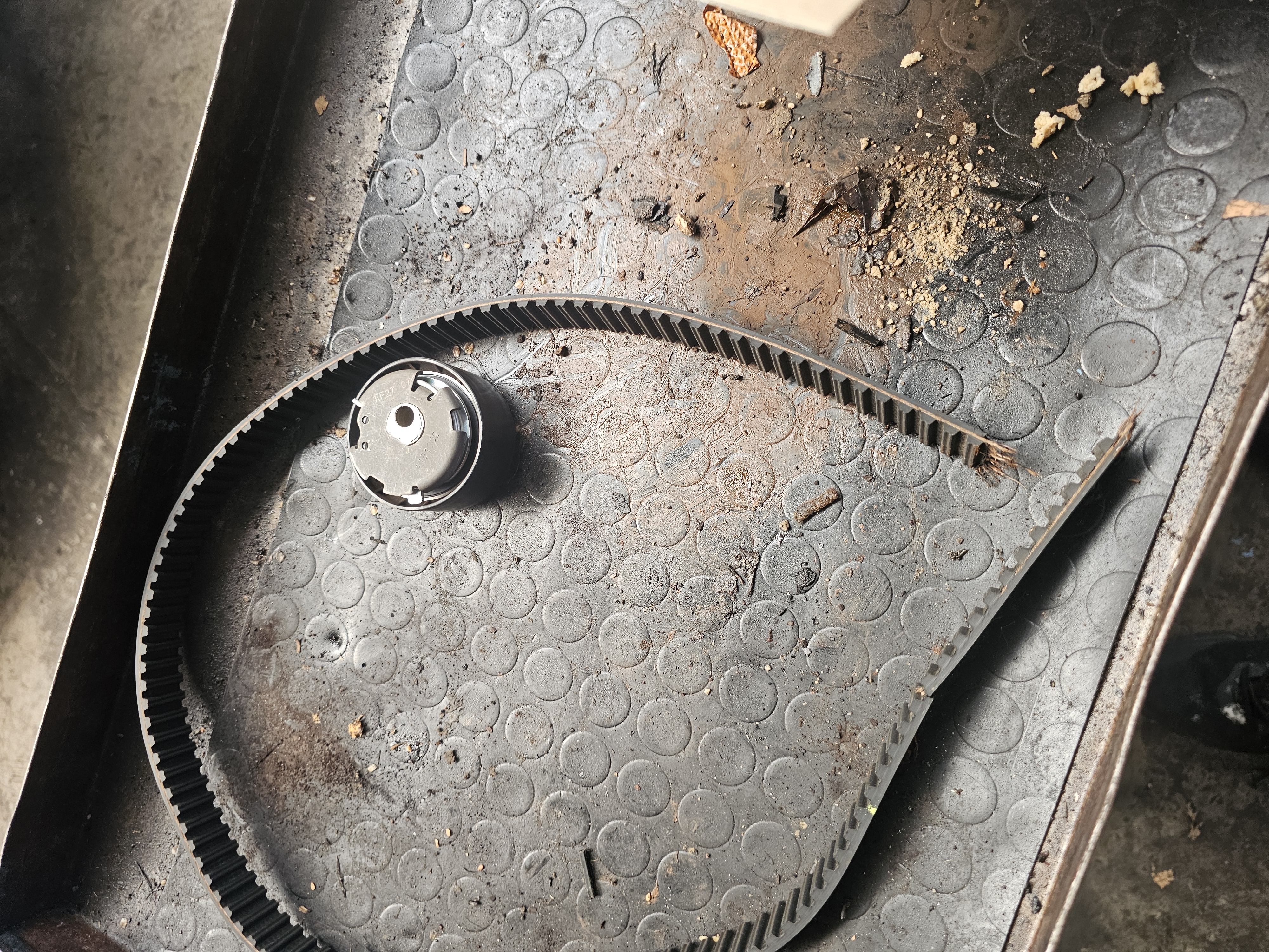 Cinghia di distribuzione spezzata Fiat Tipo