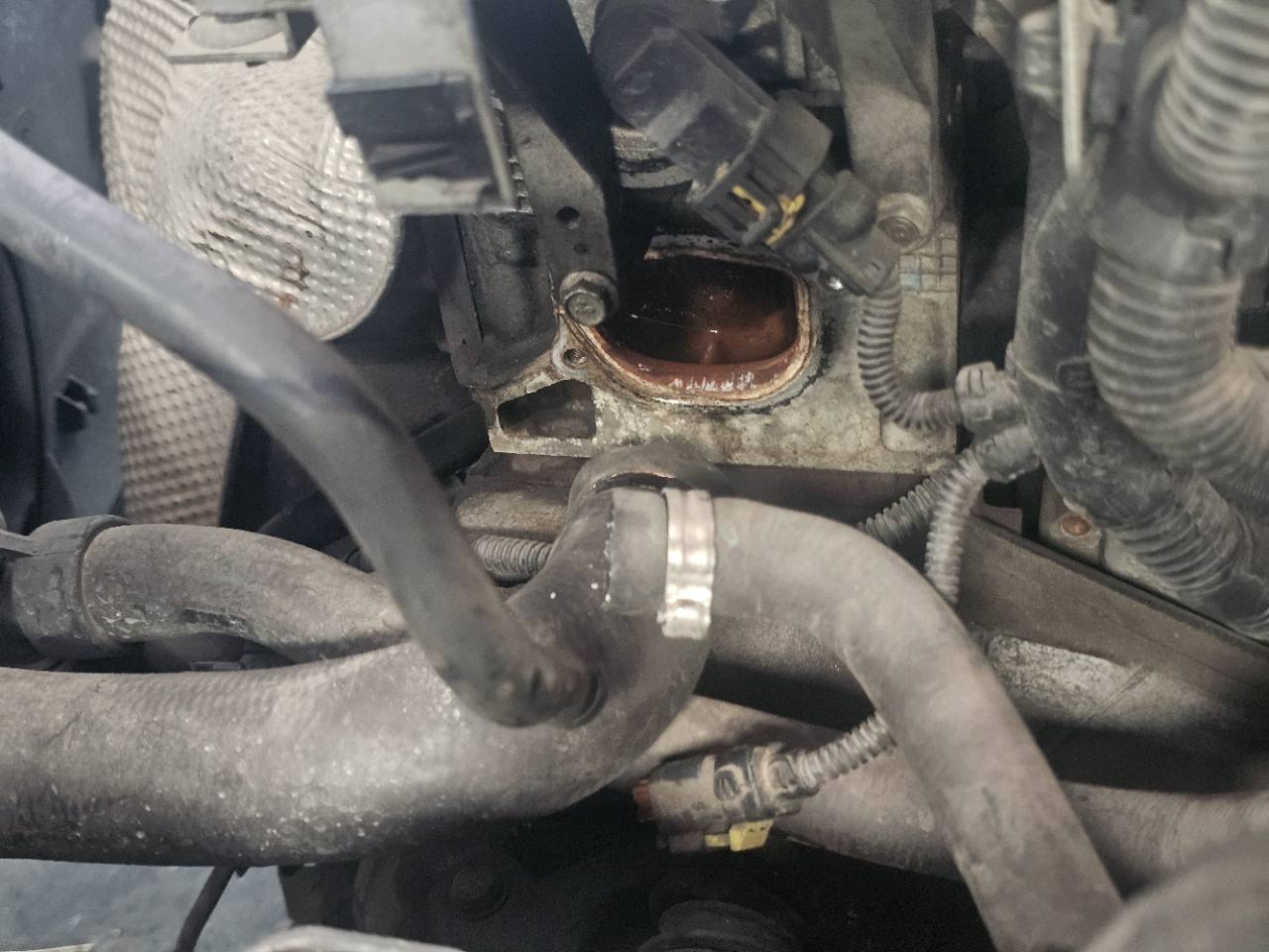 Fiat Nuova Panda 2010: perdita rilevata dal bocchettone della valvola termostatica