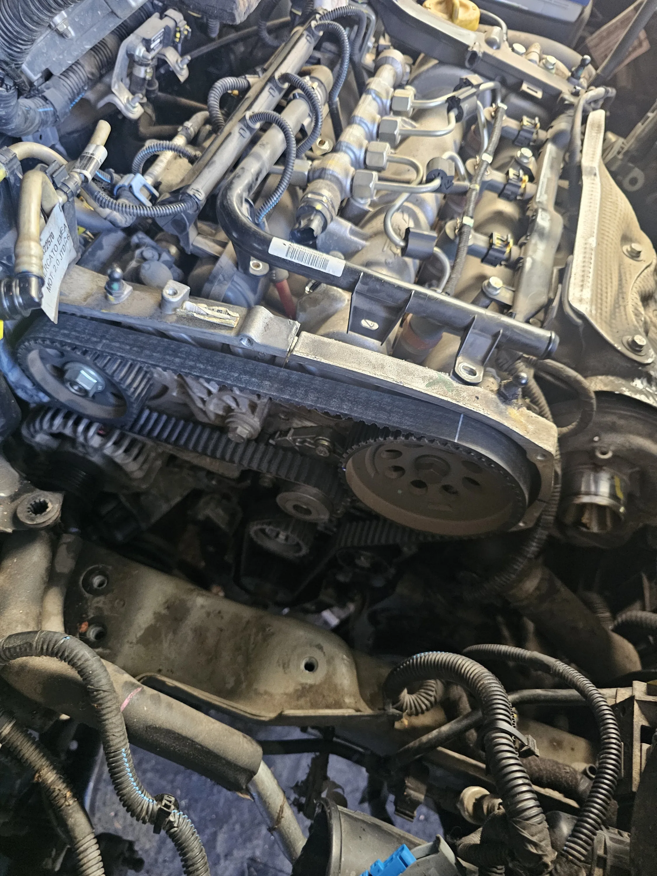 Montaggio completo della distribuzione Jeep Renegade