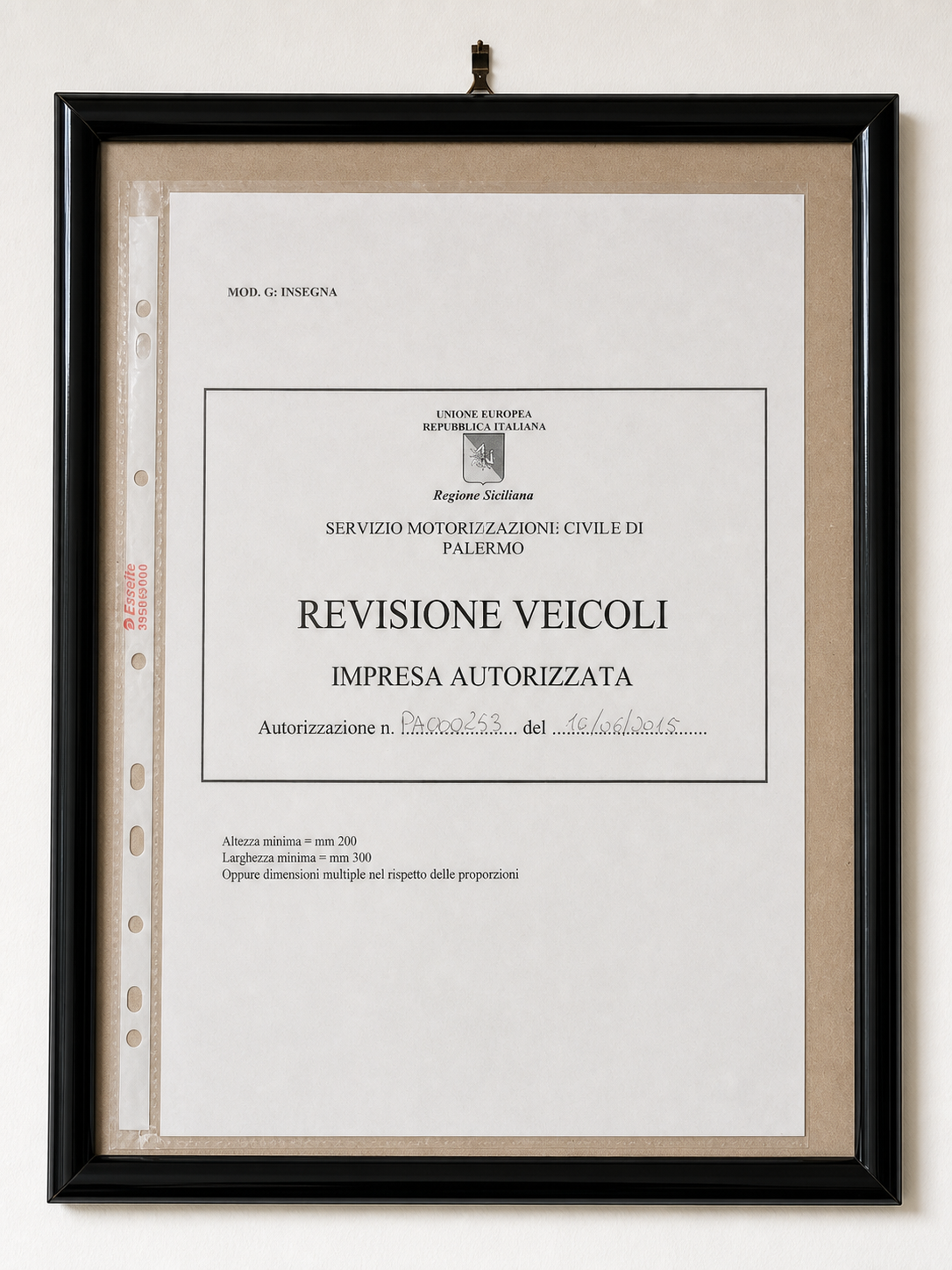 Autorizzazione per la revisione veicoli